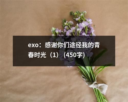 exo：感謝你們途徑我的青春時光（1） (450字)
