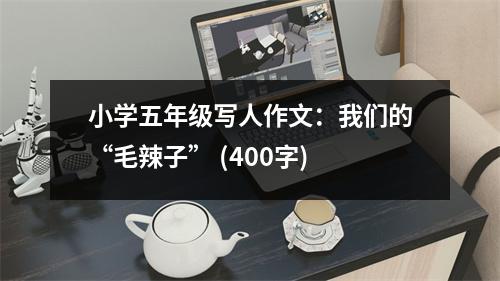 小學(xué)五年級(jí)寫(xiě)人作文：我們的“毛辣子” (400字)