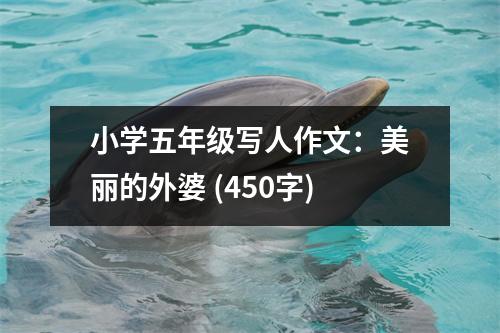 小學(xué)五年級(jí)寫(xiě)人作文：美麗的外婆 (450字)