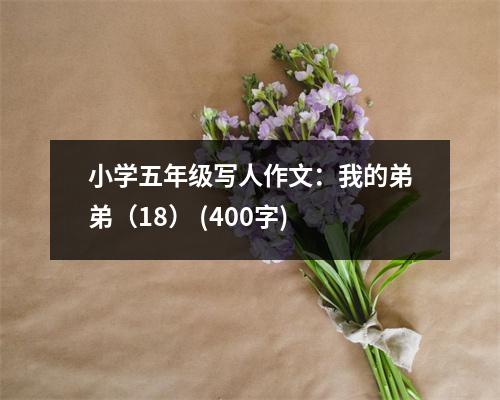 小學(xué)五年級寫人作文：我的弟弟（18） (400字)