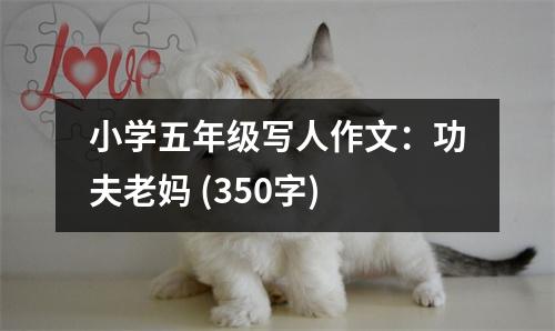 小學(xué)五年級(jí)寫人作文：功夫老媽 (350字)