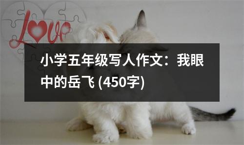 小學(xué)五年級(jí)寫人作文：我眼中的岳飛 (450字)