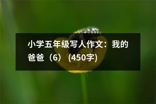 小學(xué)五年級(jí)寫人作文：我的爸爸（6） (450字)