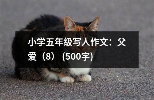小學(xué)五年級寫人作文：父愛（8） (500字)