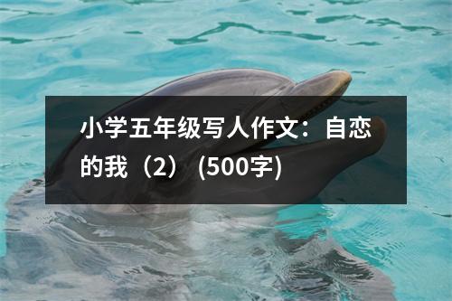 小學五年級寫人作文：自戀的我（2） (500字)