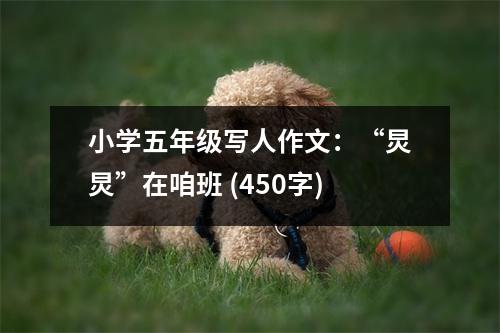 小學(xué)五年級寫人作文：“炅炅”在咱班 (450字)