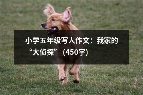 小學五年級寫人作文：我家的“大偵探” (450字)