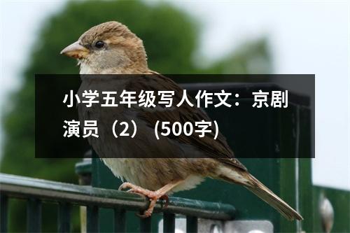小學五年級寫人作文：京劇演員（2） (500字)
