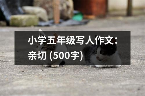 小學五年級寫人作文：親切 (500字)