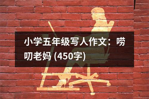小學(xué)五年級(jí)寫人作文：嘮叨老媽 (450字)