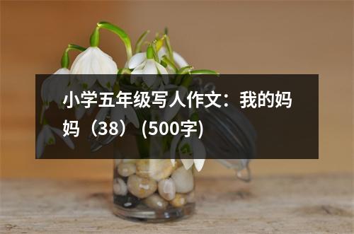 小學(xué)五年級寫人作文：我的媽媽（38） (500字)
