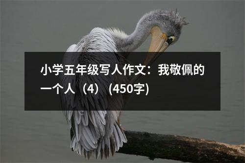 小學五年級寫人作文：我敬佩的一個人（4） (450字)