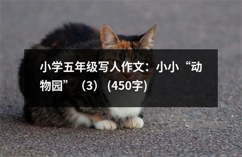 小學(xué)五年級寫人作文：小小“動物園”（3） (450字)