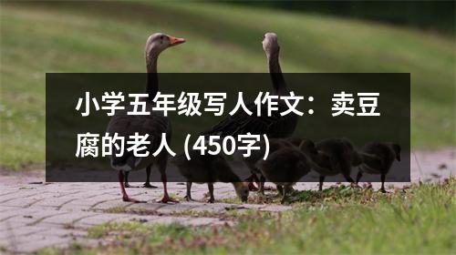 小學(xué)五年級寫人作文：賣豆腐的老人 (450字)