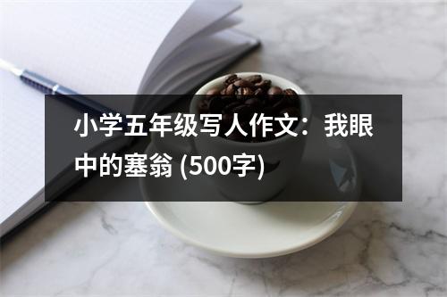小學(xué)五年級寫人作文：我眼中的塞翁 (500字)