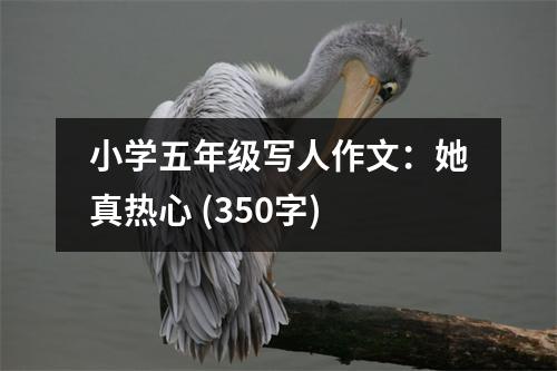 小學(xué)五年級寫人作文：她真熱心 (350字)