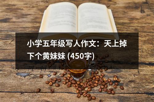 小學(xué)五年級(jí)寫人作文：天上掉下個(gè)黃妹妹 (450字)