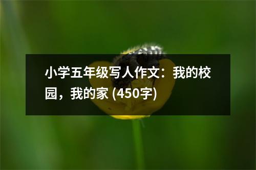 小學(xué)五年級(jí)寫人作文：我的校園，我的家 (450字)