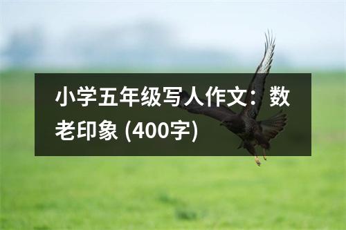 小學五年級寫人作文：數(shù)老印象 (400字)