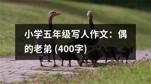 小學五年級寫人作文：偶的老弟 (400字)
