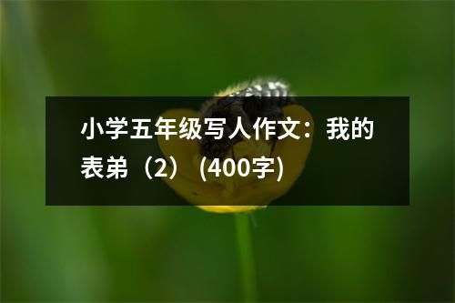 小學(xué)五年級(jí)寫(xiě)人作文：我的表弟（2） (400字)
