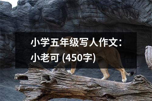 小學(xué)五年級(jí)寫(xiě)人作文：小老可 (450字)