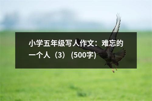 小學(xué)五年級寫人作文：難忘的一個人（3） (500字)