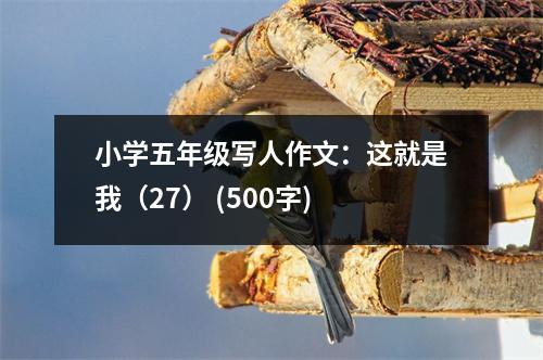 小學(xué)五年級寫人作文：這就是我（27） (500字)