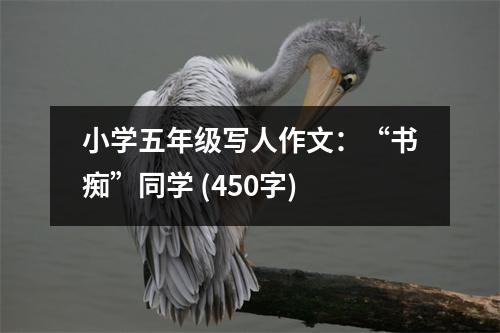 小學(xué)五年級(jí)寫人作文：“書癡”同學(xué) (450字)