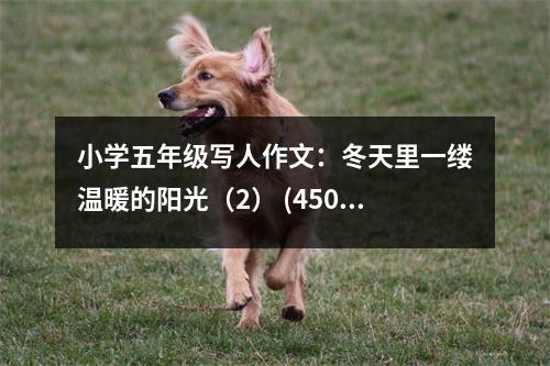 小學(xué)五年級(jí)寫人作文：冬天里一縷溫暖的陽(yáng)光（2） (450字)