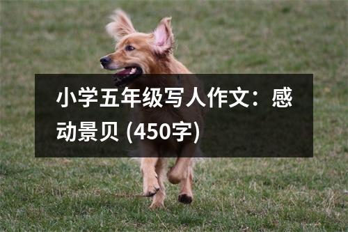 小學(xué)五年級(jí)寫(xiě)人作文：感動(dòng)景貝 (450字)