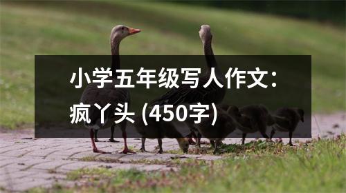 小學(xué)五年級寫人作文：瘋丫頭 (450字)