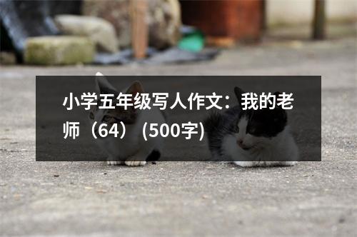 小學(xué)五年級(jí)寫(xiě)人作文：我的老師（64） (500字)