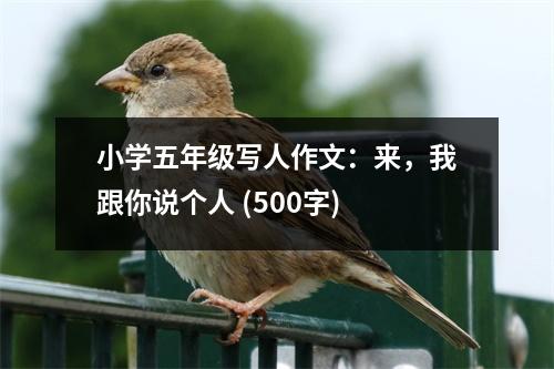 小學五年級寫人作文：來，我跟你說個人 (500字)
