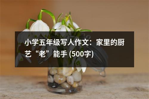 小學五年級寫人作文：家里的廚藝“老”能手 (500字)