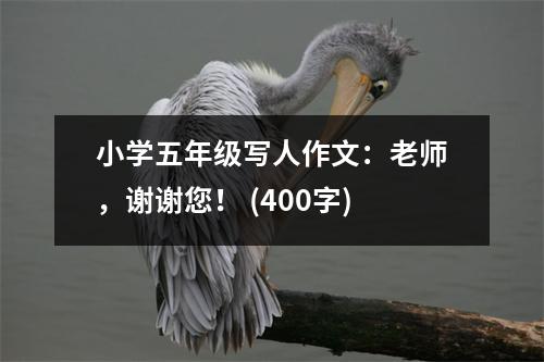 小學(xué)五年級寫人作文：老師，謝謝您！ (400字)