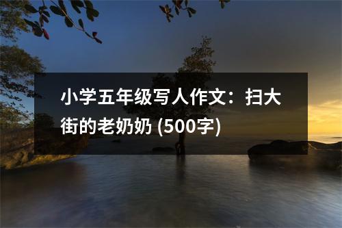 小學五年級寫人作文：掃大街的老奶奶 (500字)