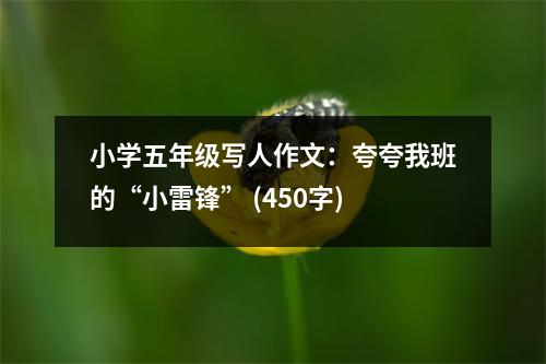 小學(xué)五年級寫人作文：夸夸我班的“小雷鋒” (450字)