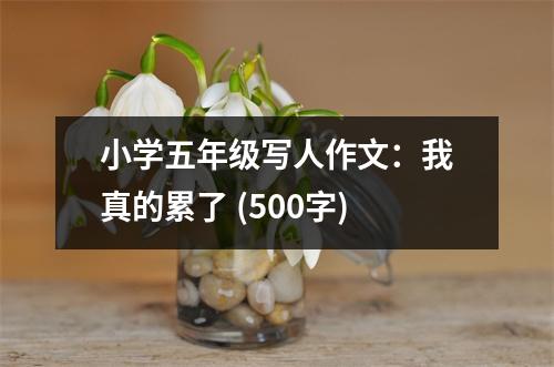 小學(xué)五年級(jí)寫(xiě)人作文：我真的累了 (500字)