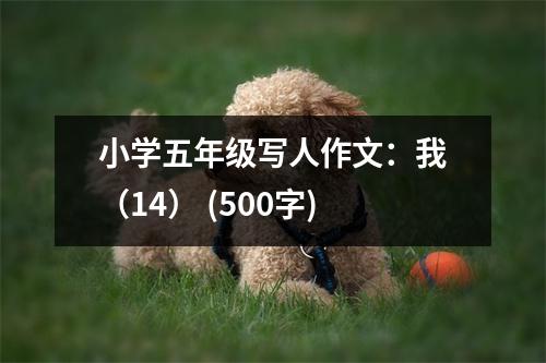 小學(xué)五年級(jí)寫人作文：我（14） (500字)