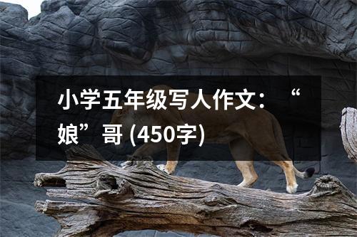 小學(xué)五年級(jí)寫人作文：“娘”哥 (450字)