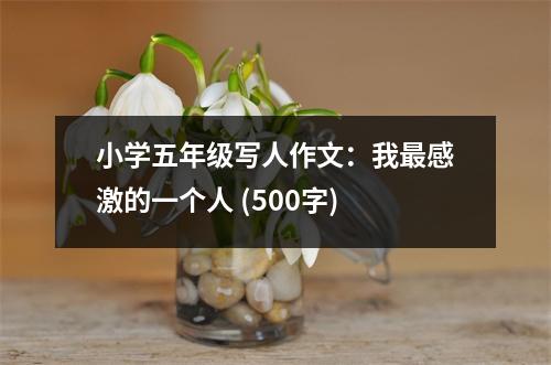 小學(xué)五年級(jí)寫人作文：我最感激的一個(gè)人 (500字)