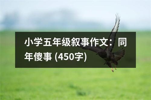 小學(xué)五年級(jí)敘事作文：同年傻事 (450字)