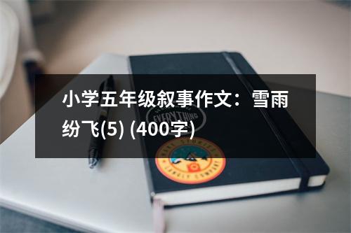 小學(xué)五年級(jí)敘事作文：雪雨紛飛(5) (400字)