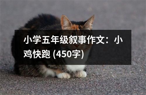 小學(xué)五年級(jí)敘事作文：小雞快跑 (450字)