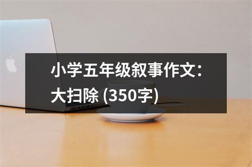 小學(xué)五年級(jí)敘事作文：大掃除 (350字)