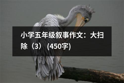 小學(xué)五年級(jí)敘事作文：大掃除（3） (450字)