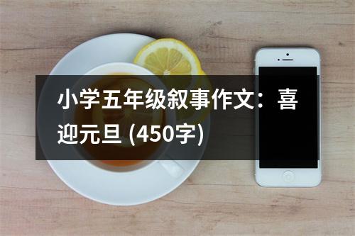 小學(xué)五年級(jí)敘事作文：喜迎元旦 (450字)