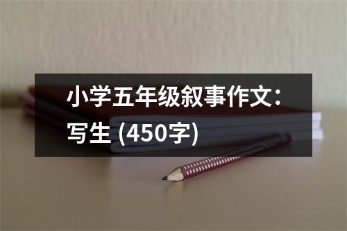 小學(xué)五年級(jí)敘事作文：寫生 (450字)