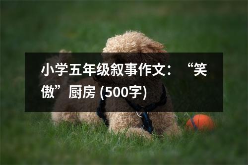 小學(xué)五年級敘事作文：“笑傲”廚房 (500字)